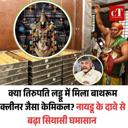 क्या तिरुपति लड्डू में मिला बाथरूम क्लीनर जैसा केमिकल?  नायडू के दावे से बढ़ा सियासी घमासान